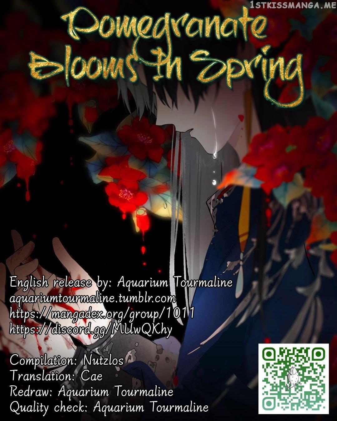 Pomegranate Blooms In Spring chapter 22.5 - page 1