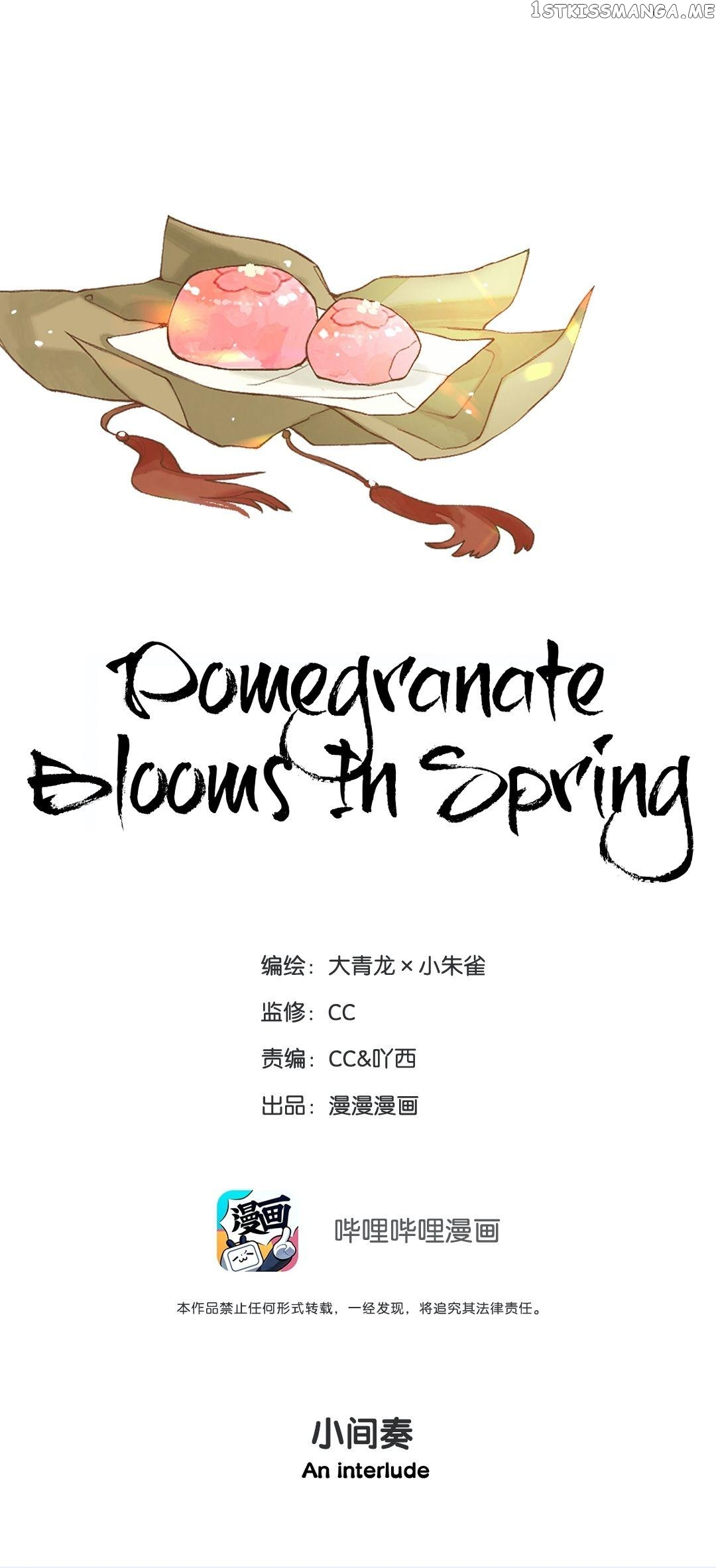 Pomegranate Blooms In Spring chapter 22.5 - page 2