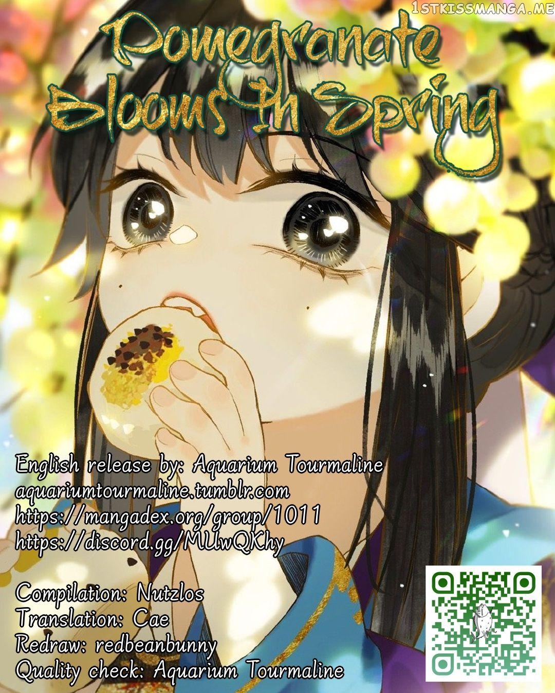 Pomegranate Blooms In Spring chapter 17 - page 1