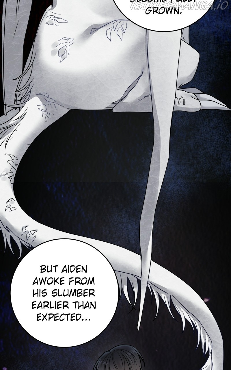 The Newlywed Life of a Witch and a Dragon chapter 95 - page 11