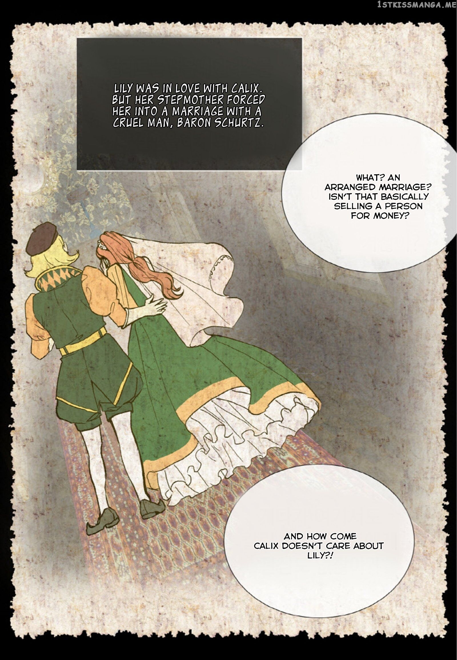 The Evil Cinderella Needs A Villain chapter 1 - page 9