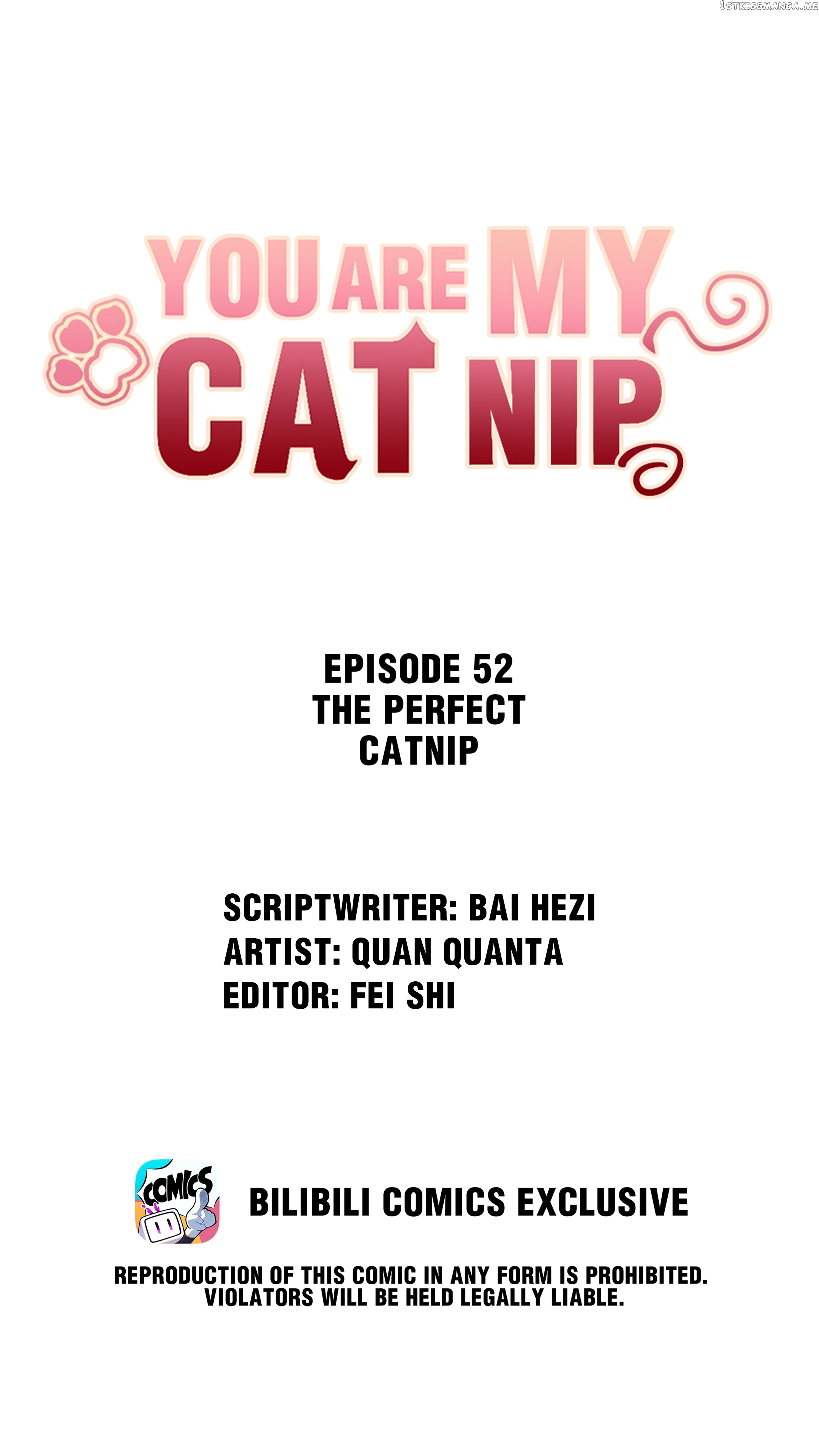 You Are My Catnip chapter 52 - page 1