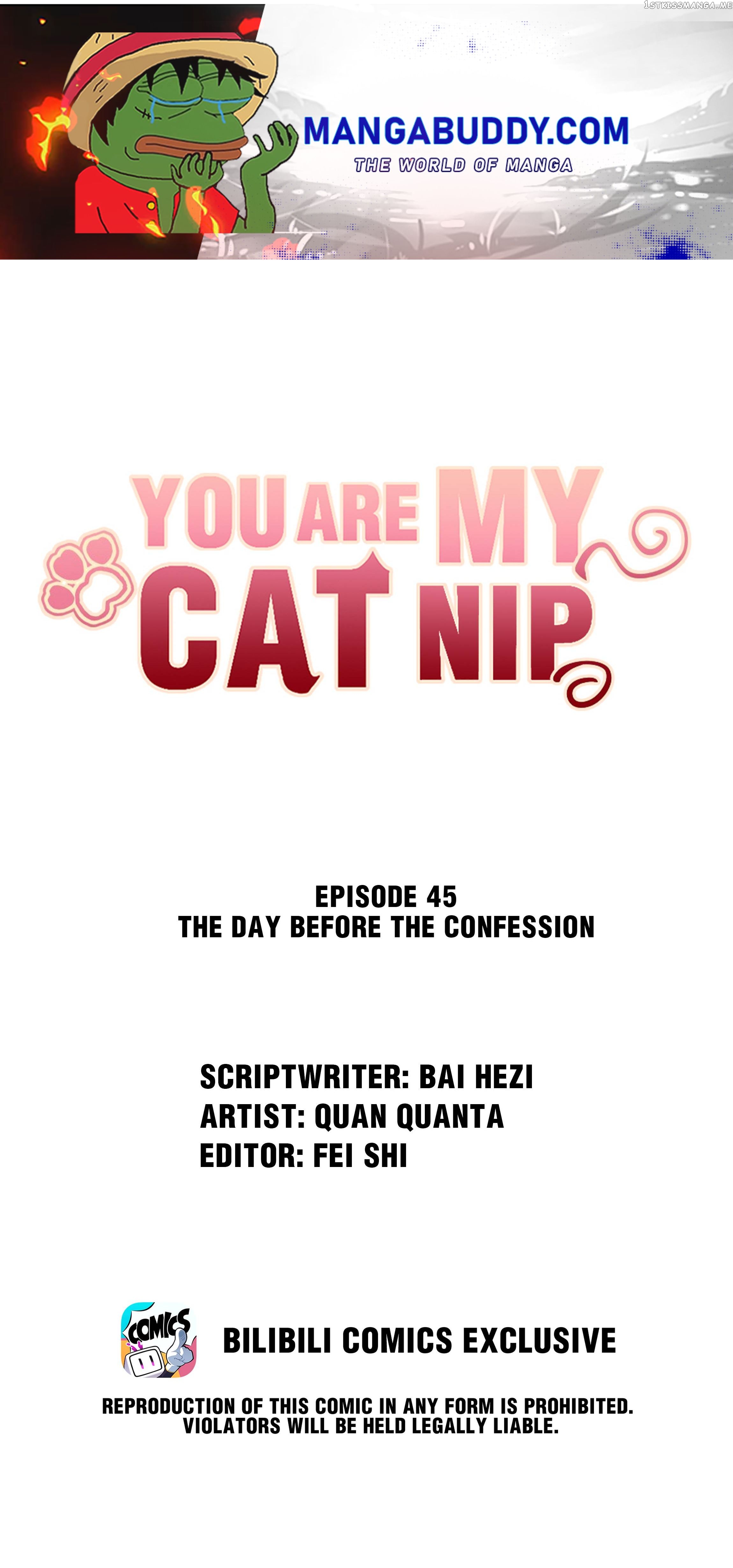 You Are My Catnip chapter 45 - page 1