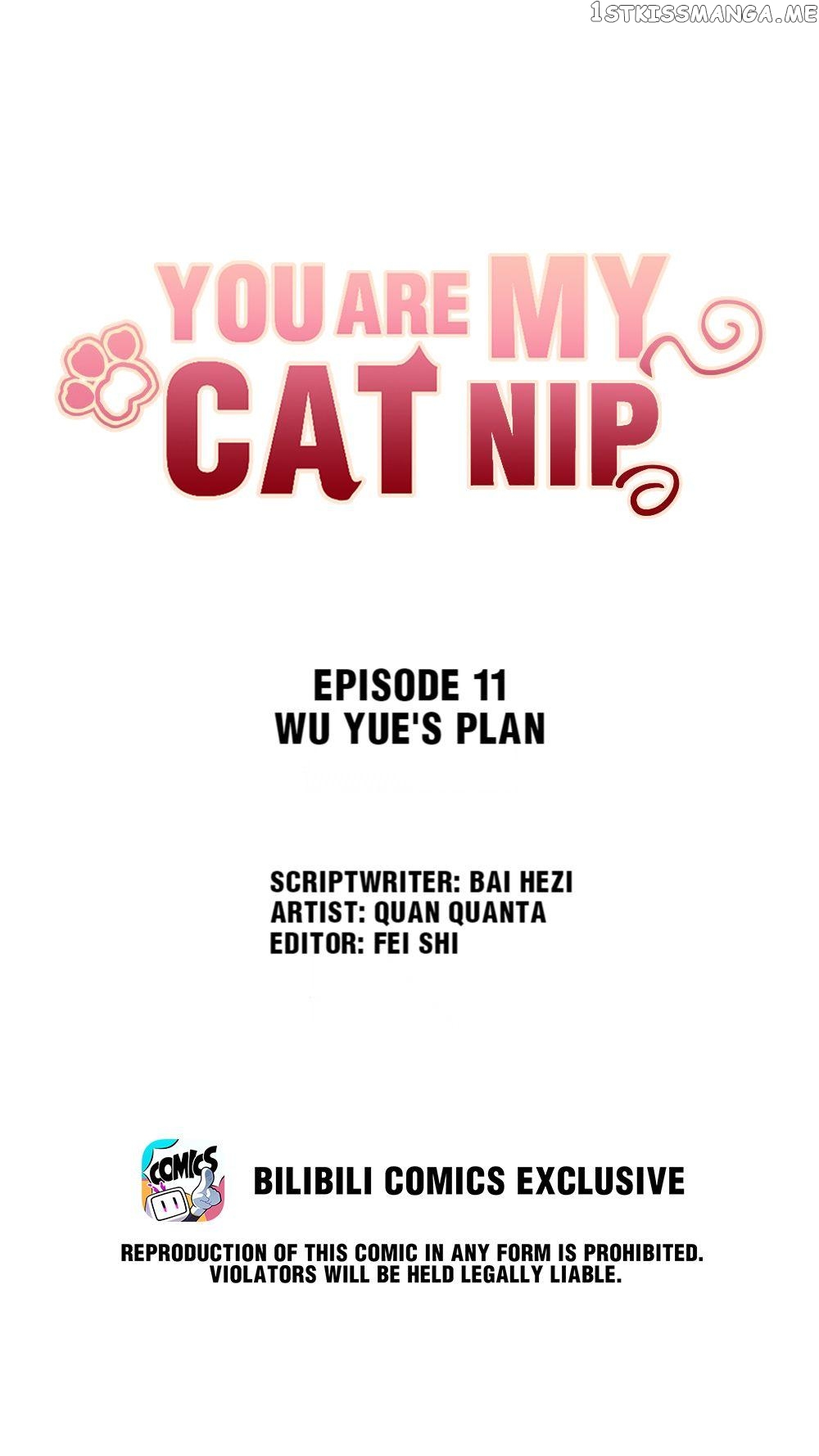 You Are My Catnip chapter 11 - page 2