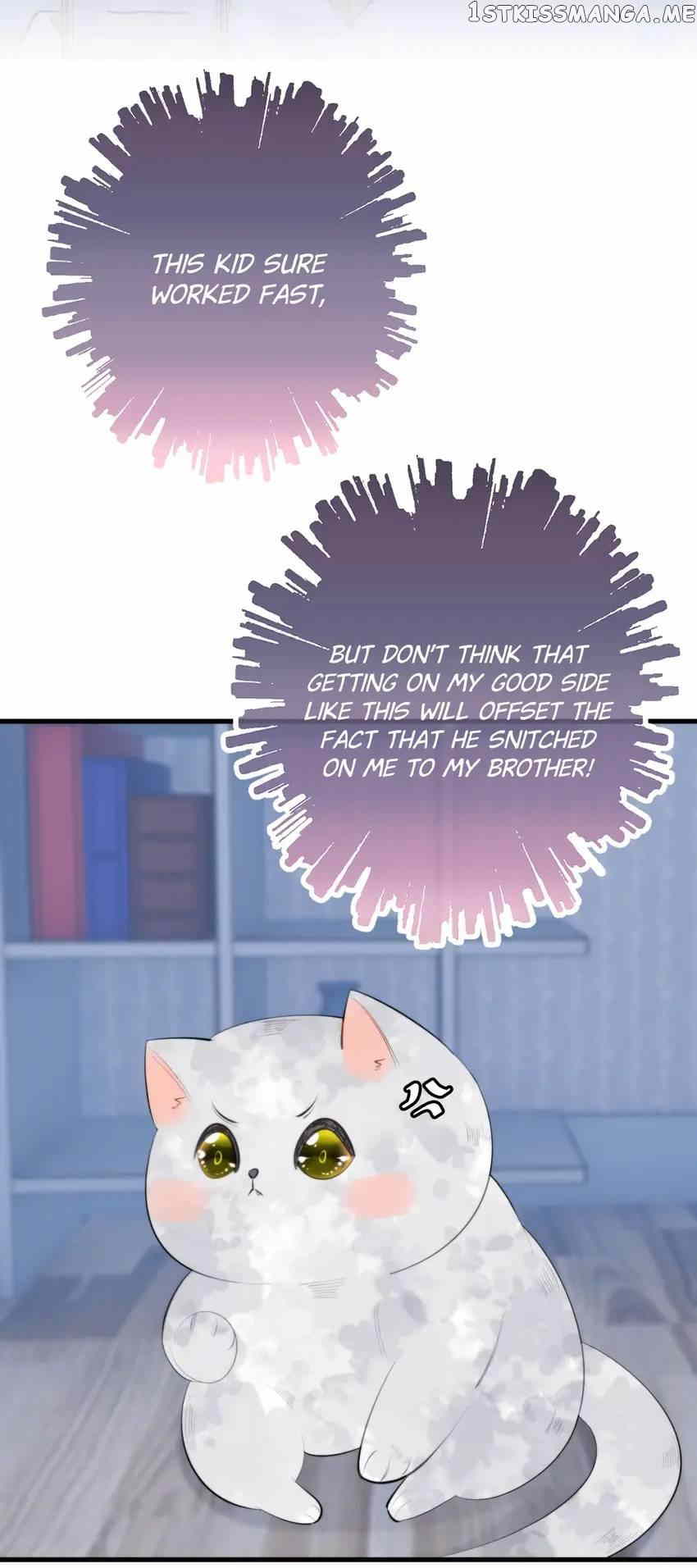 This Stray Cat Ain’t Straight chapter 54 - page 16