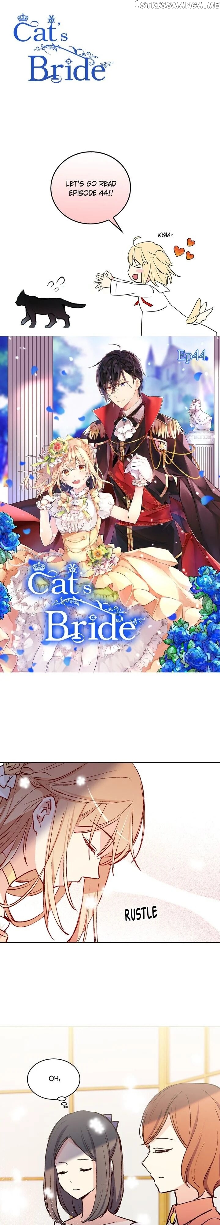 Cat’s Bride chapter 44 - page 1