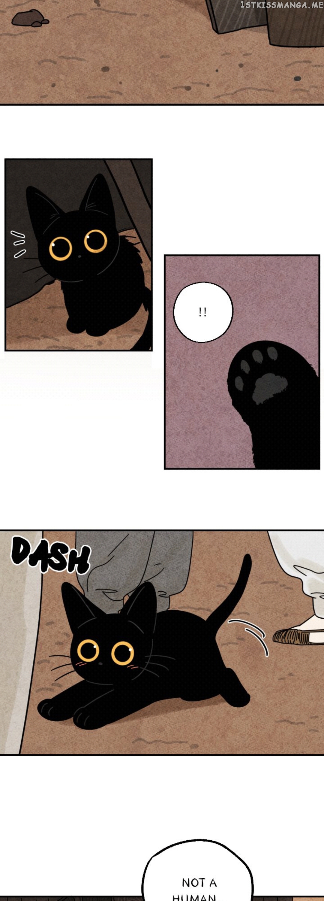 The Tale Of Goldiluck, The Black Kitten chapter 17 - page 25