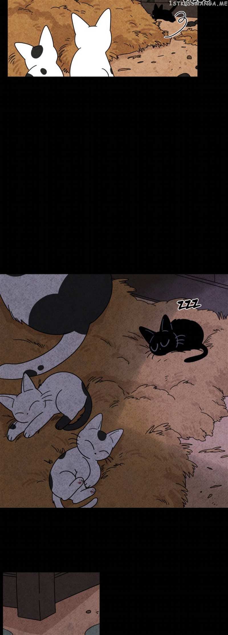 The Tale Of Goldiluck, The Black Kitten chapter 17 - page 3