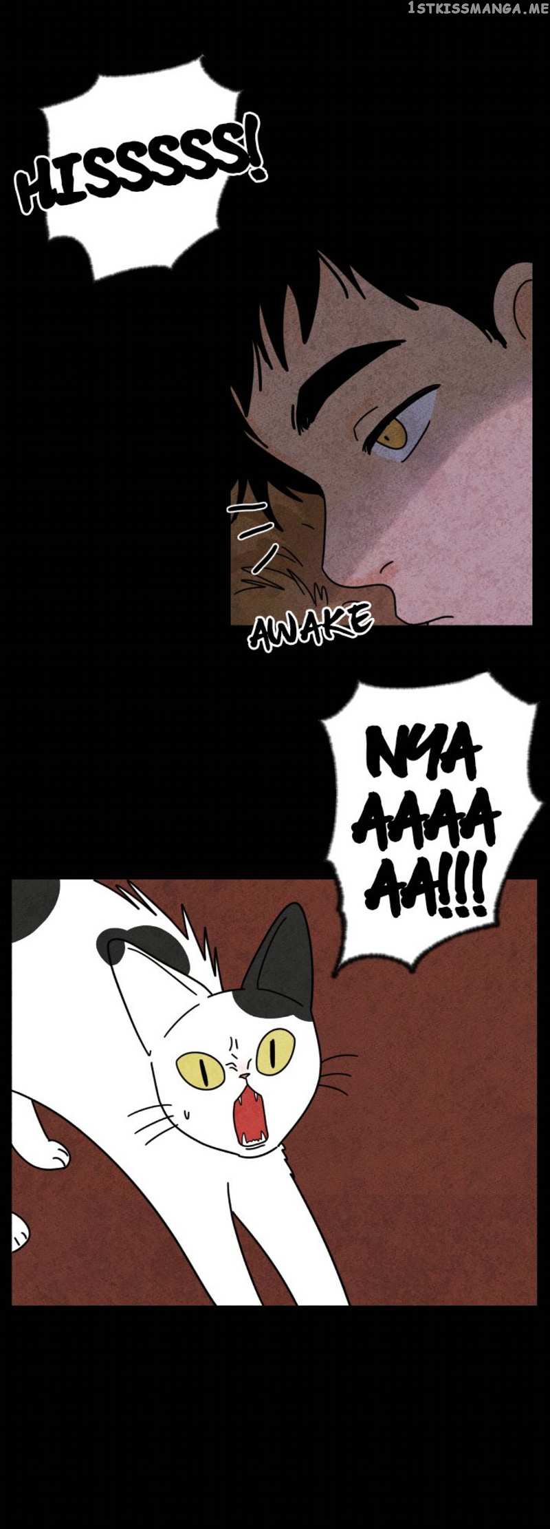 The Tale Of Goldiluck, The Black Kitten chapter 17 - page 5