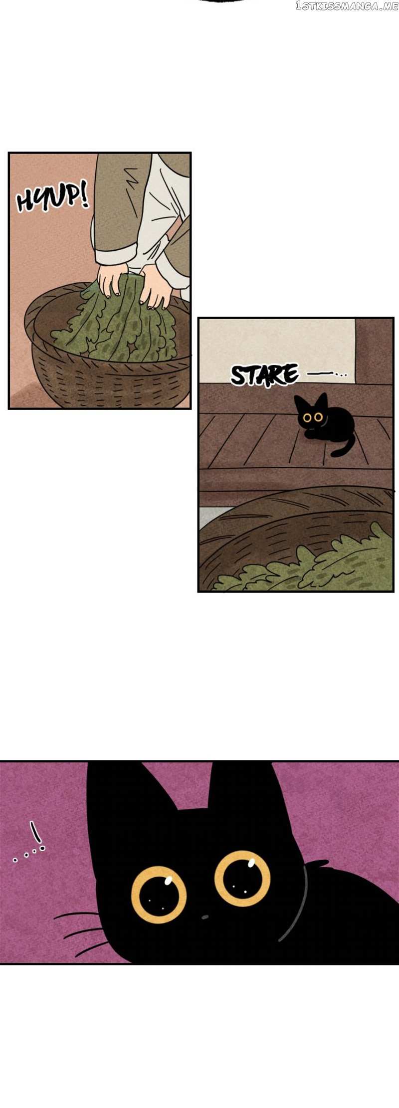 The Tale Of Goldiluck, The Black Kitten chapter 13 - page 32