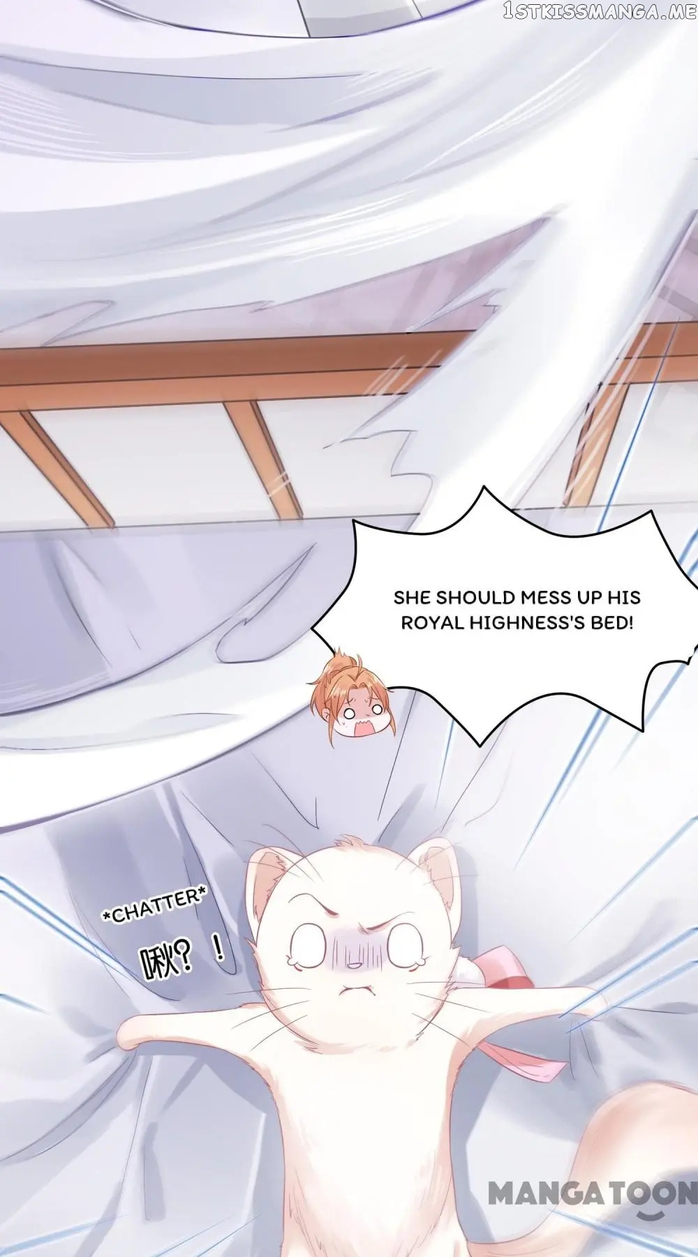 Kitten Princess chapter 4 - page 8