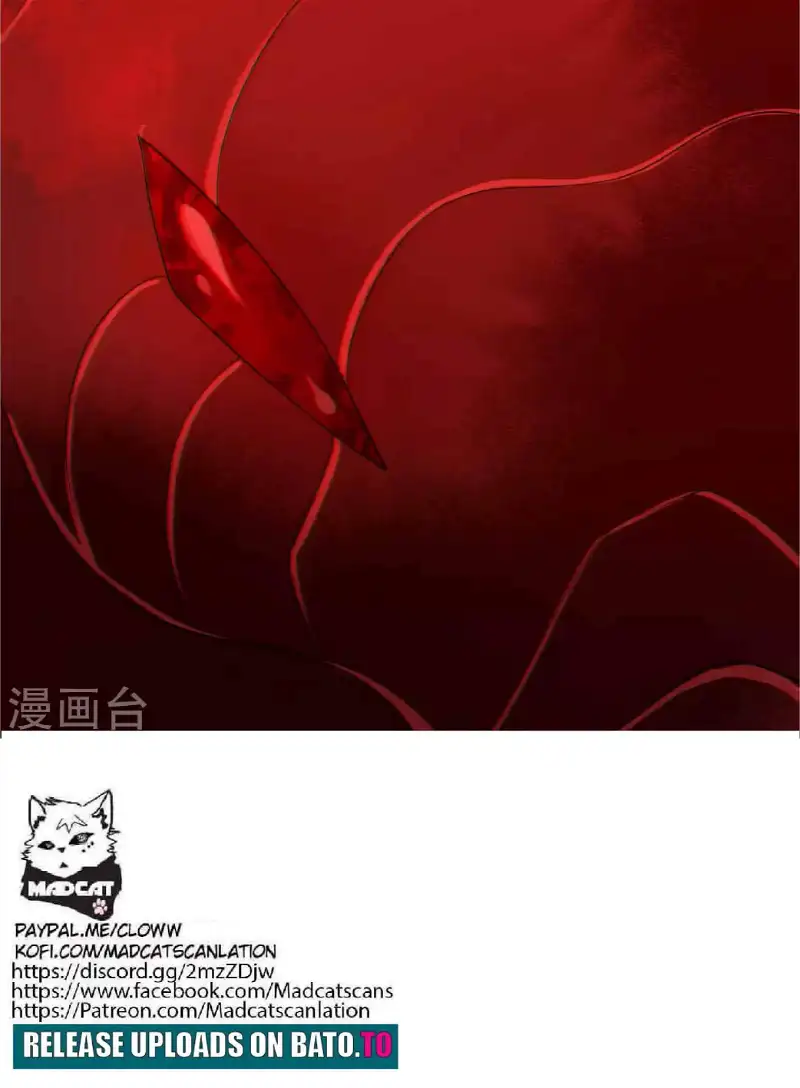 Cat System The Emperor is a Cat Lover Chapter 63 - page 31
