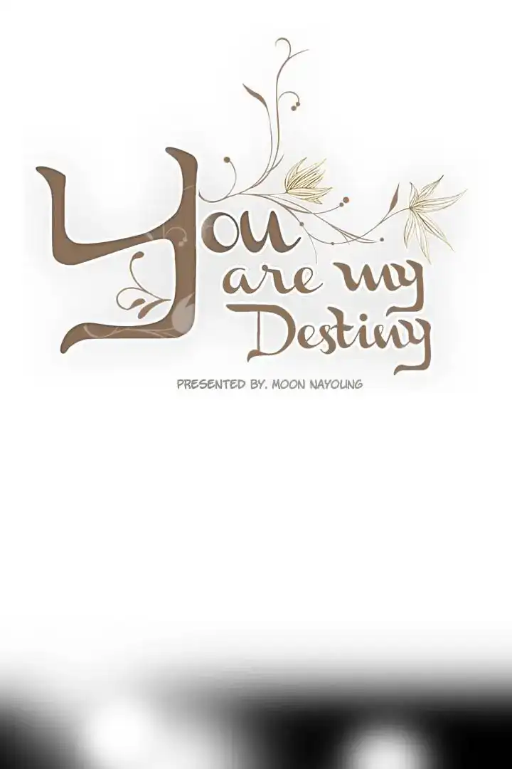 You Are My Destiny ( With You ) Chapter 10 - page 2