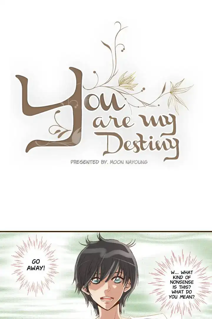You Are My Destiny ( With You ) Chapter 9 - page 2