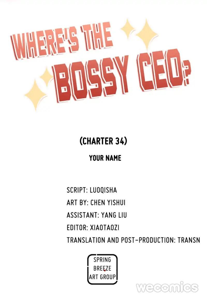 Where’s the Bossy CEO? Chapter 34 - page 12