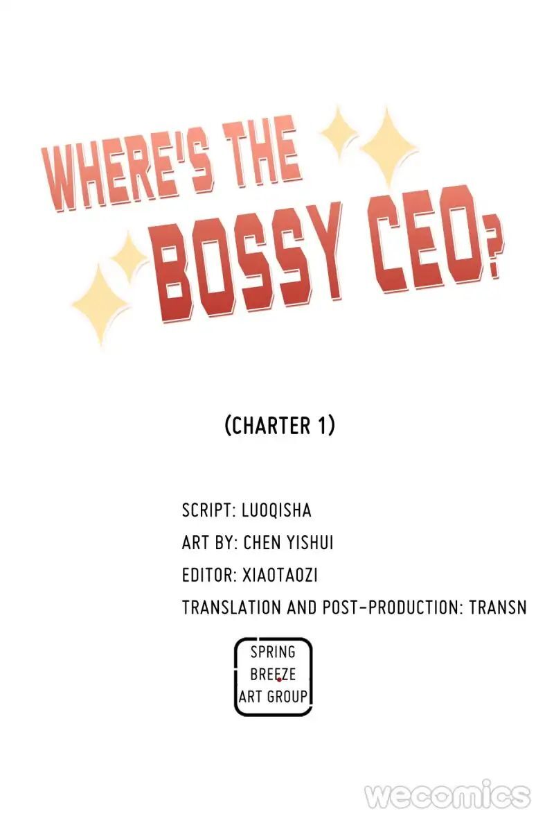 Where’s the Bossy CEO? Chapter 1 - page 6