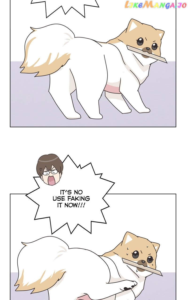 The Dog Diaries Chapter 118 - page 31