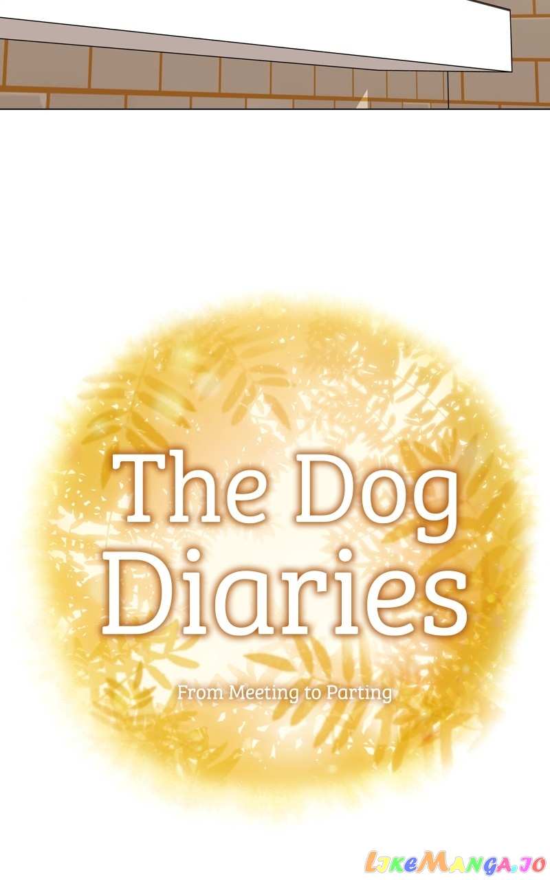 The Dog Diaries Chapter 119 - page 13