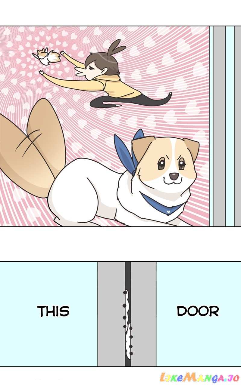 The Dog Diaries Chapter 119 - page 43