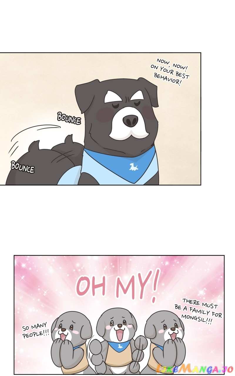 The Dog Diaries Chapter 119 - page 70