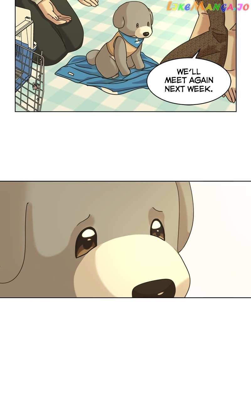 The Dog Diaries Chapter 121 - page 44