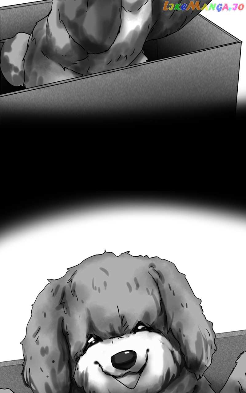 The Dog Diaries Chapter 121 - page 50