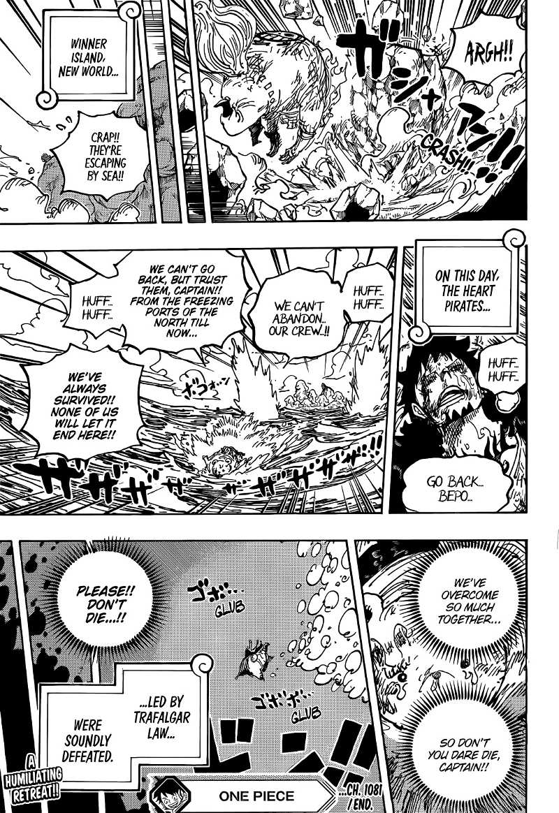One Piece chapter 1081 - page 16