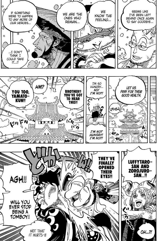 One Piece chapter 1052 - page 10
