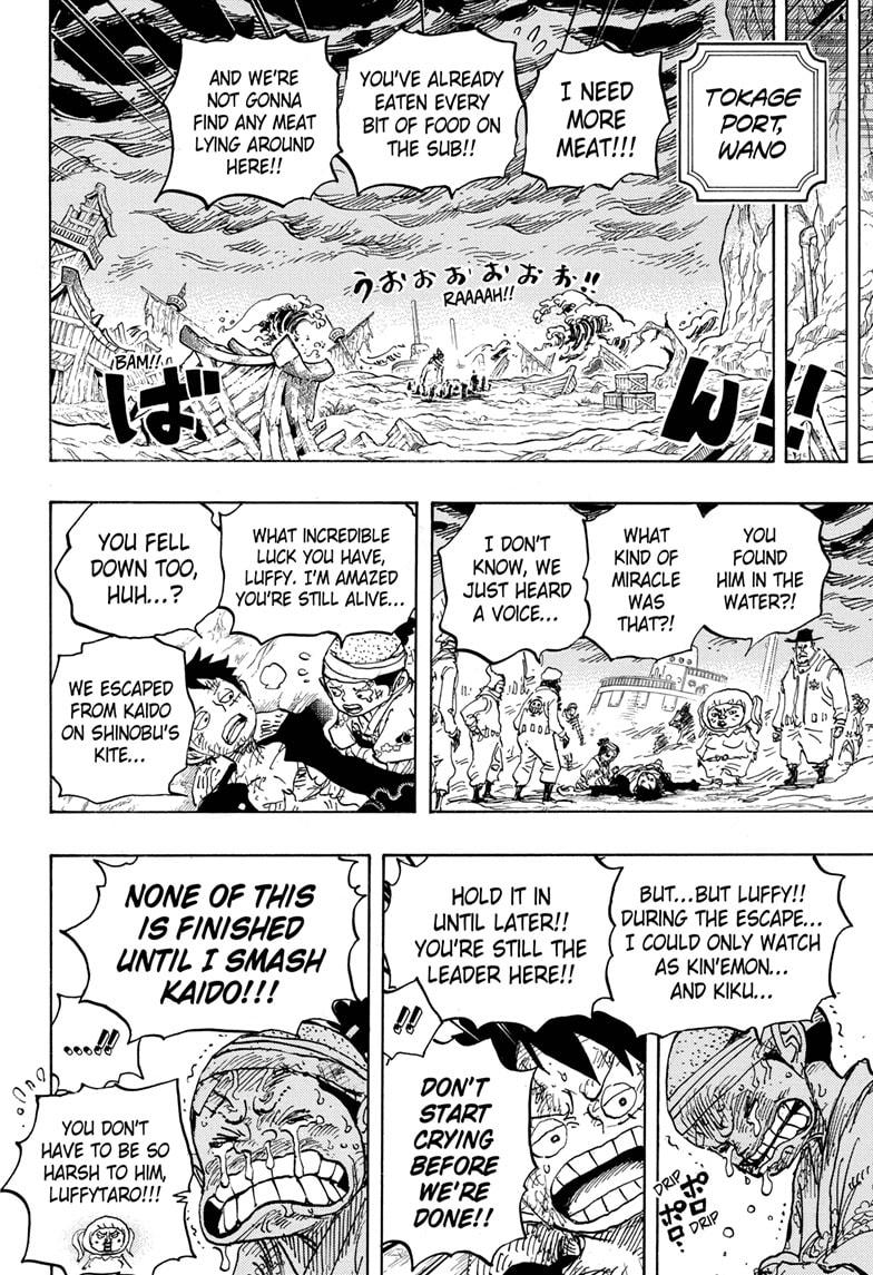One Piece chapter 1020 - page 16