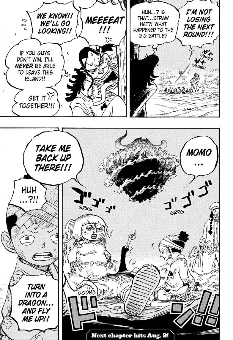 One Piece chapter 1020 - page 17