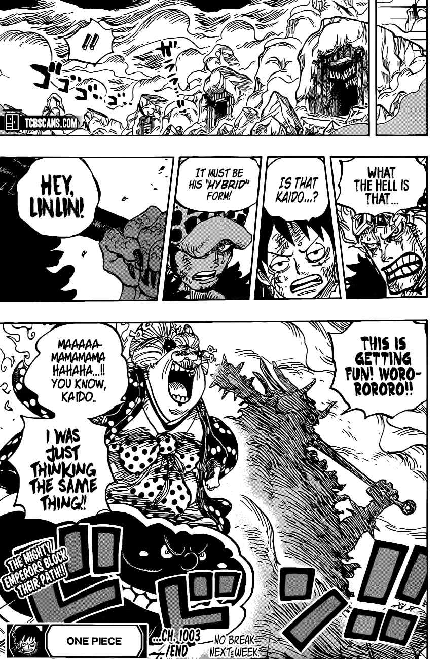 One Piece chapter 1003 - page 14