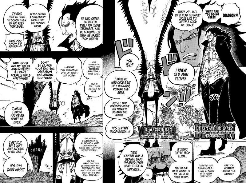 One Piece chapter 1066 - page 11