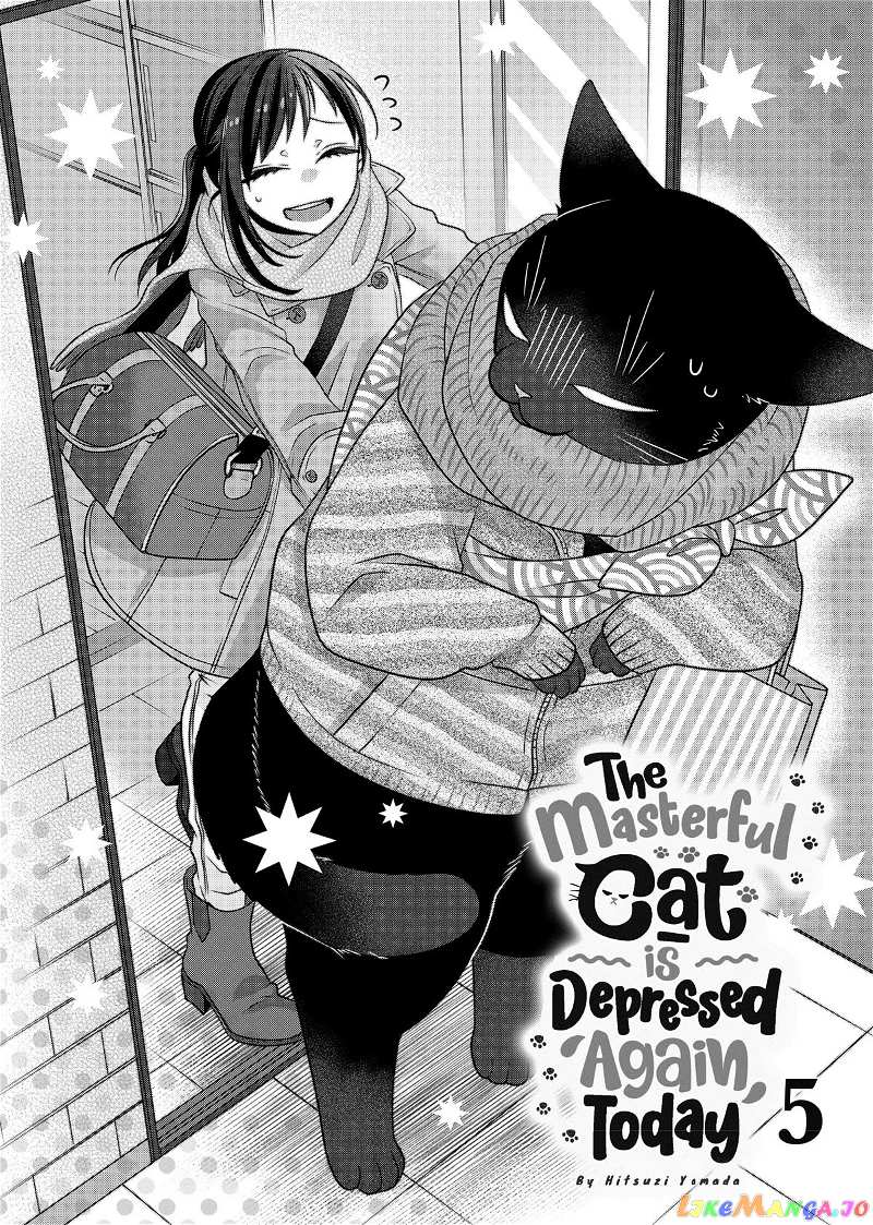 The Deceitful Cat Is Depressed Again Today chapter 48 - page 2