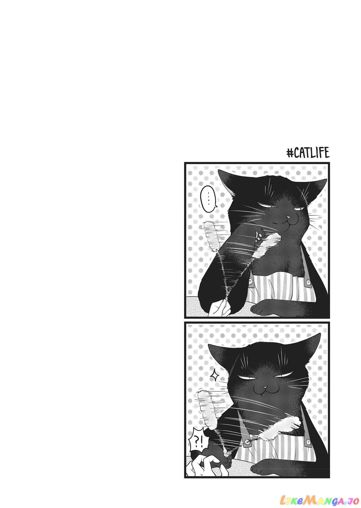 The Deceitful Cat Is Depressed Again Today chapter 25 - page 12