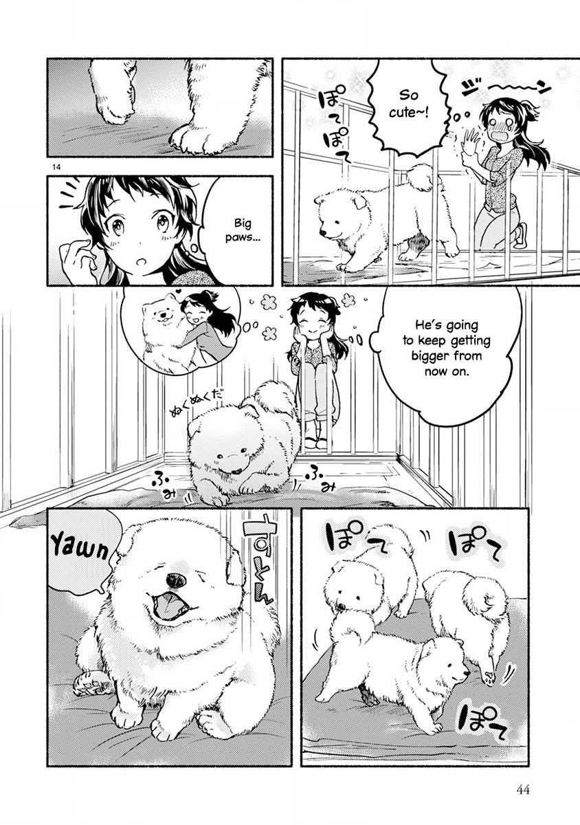 One-Room, Dog chapter 2 - page 14