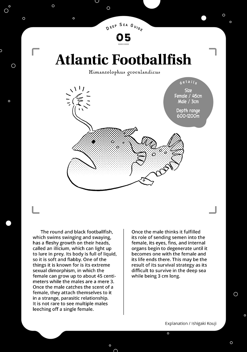 Deep Sea Aquarium Magmell chapter 5 - page 31