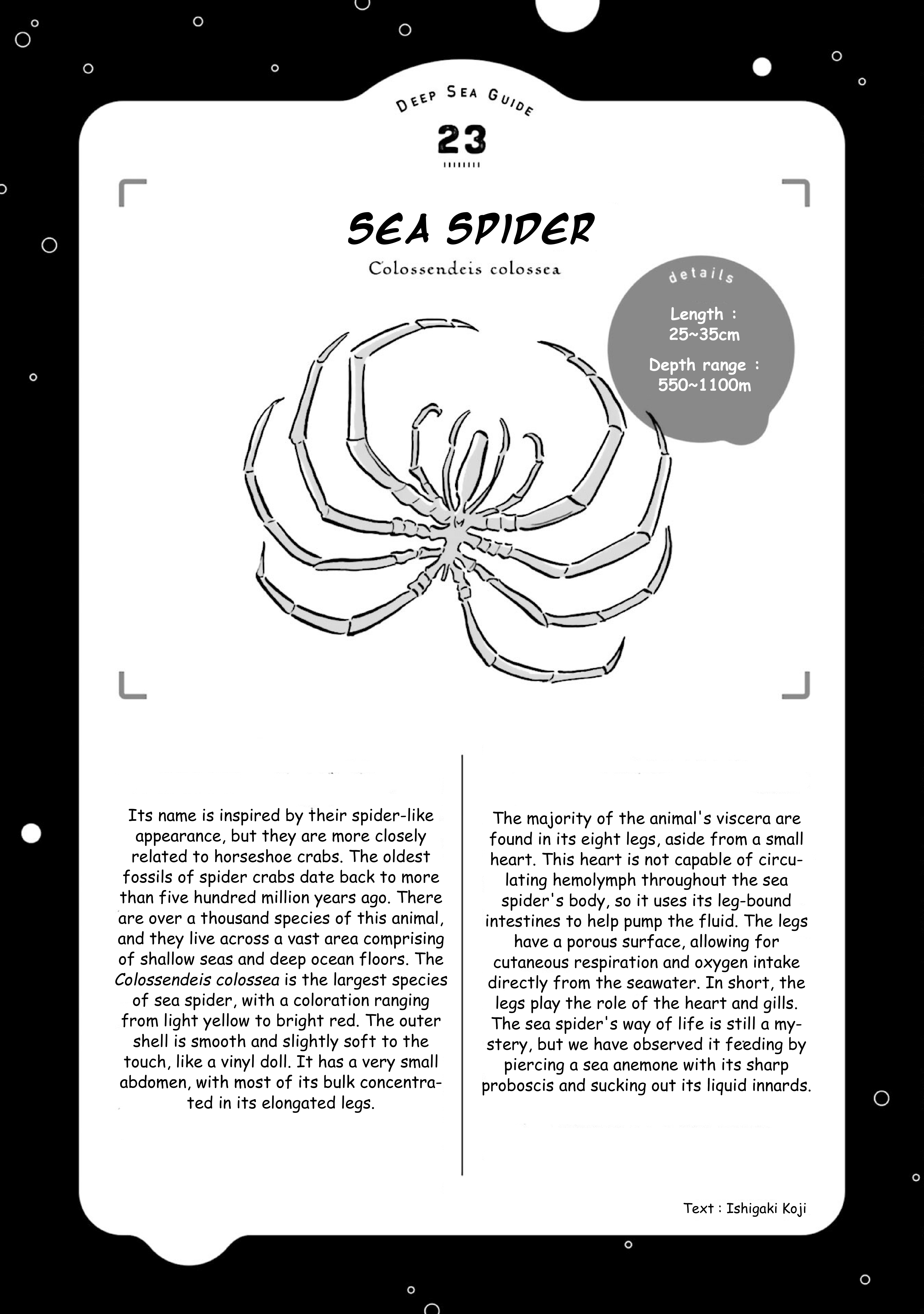 Deep Sea Aquarium Magmell chapter 27 - page 35