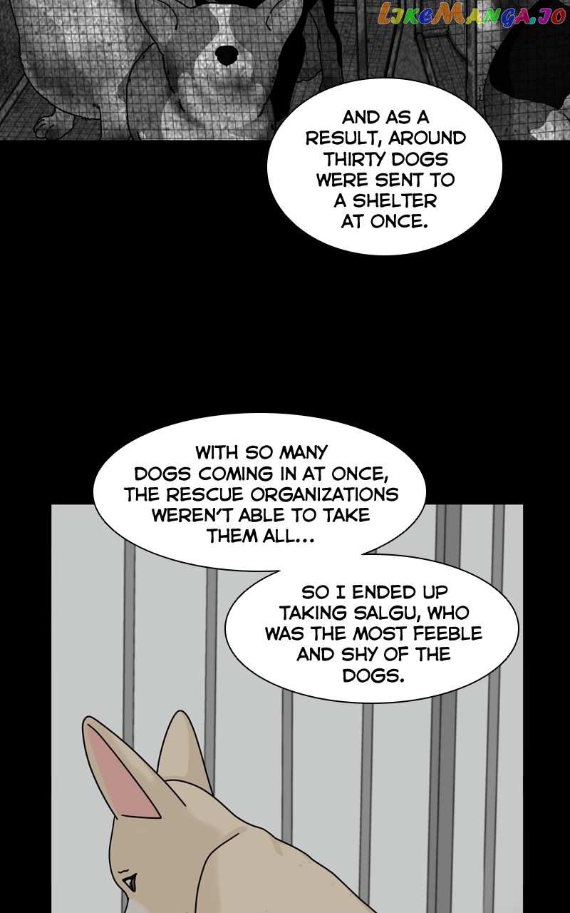 The Dog Diaries Chapter 126 - page 23