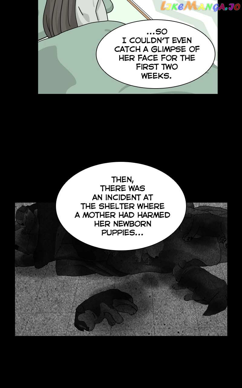 The Dog Diaries Chapter 126 - page 26