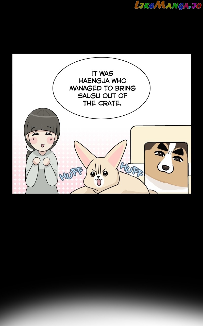 The Dog Diaries Chapter 126 - page 34