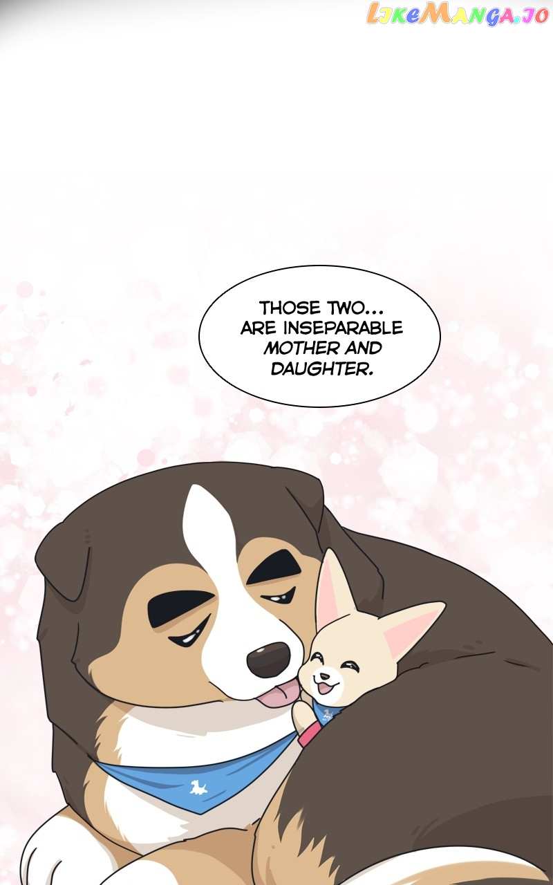 The Dog Diaries Chapter 126 - page 35