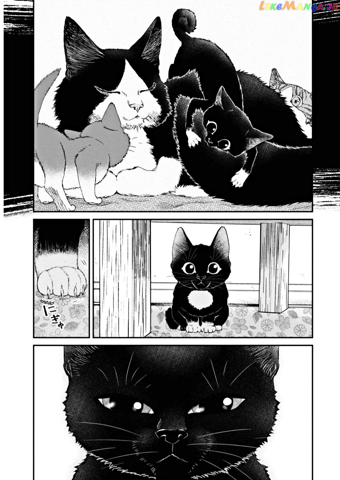 Hosomura-san With Cat's Snack chapter 7 - page 13