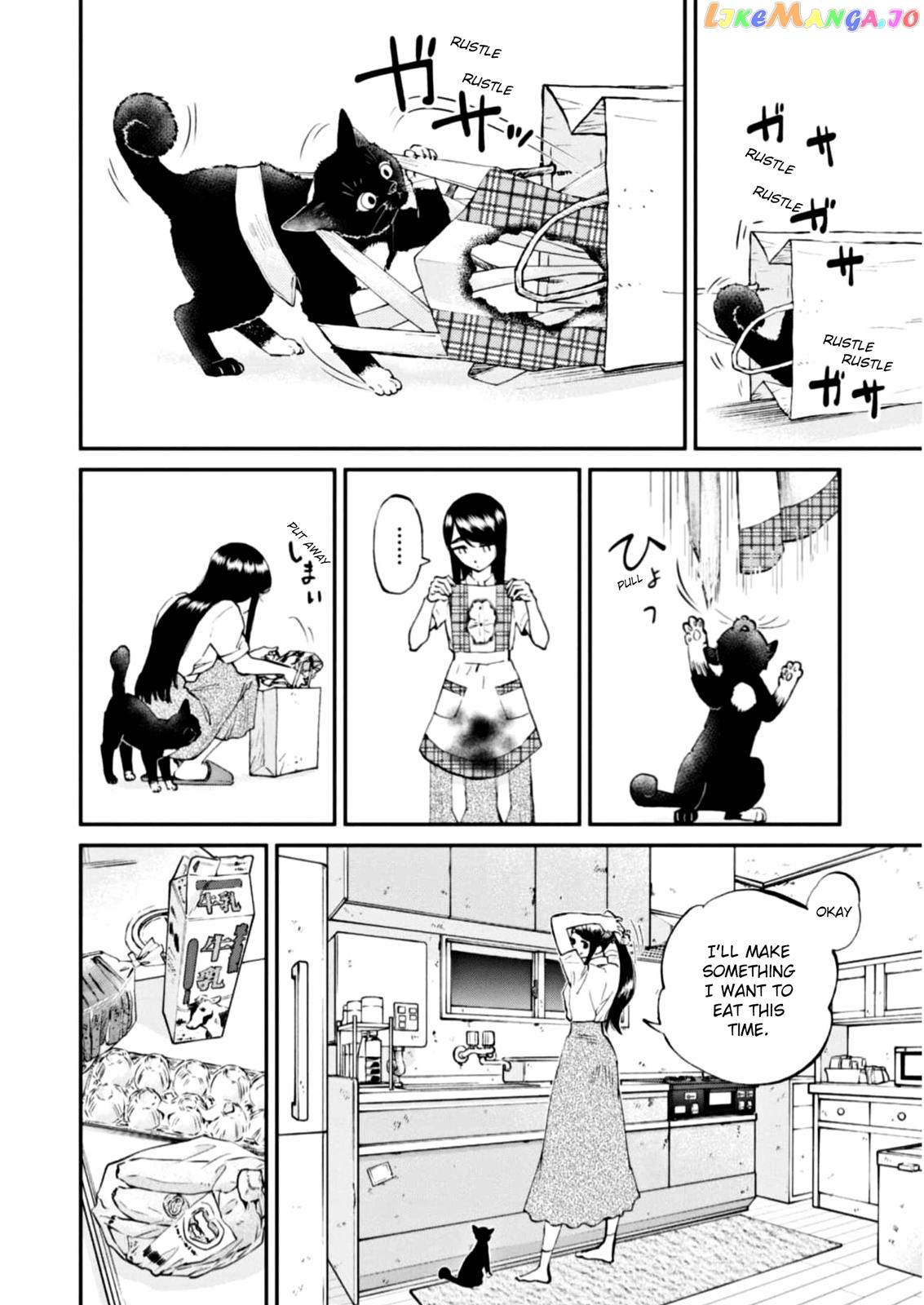 Hosomura-san With Cat's Snack chapter 8 - page 17