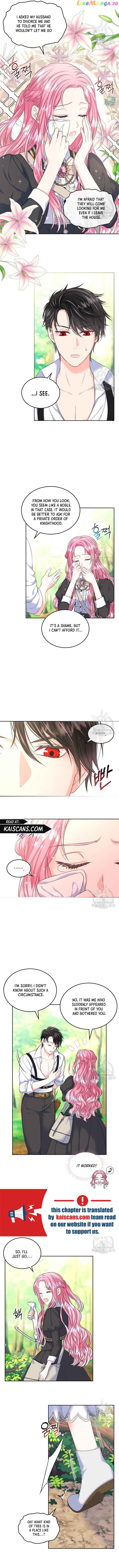 I Will Divorce the Female Lead’s Siscon Brother Chapter 6 - page 3