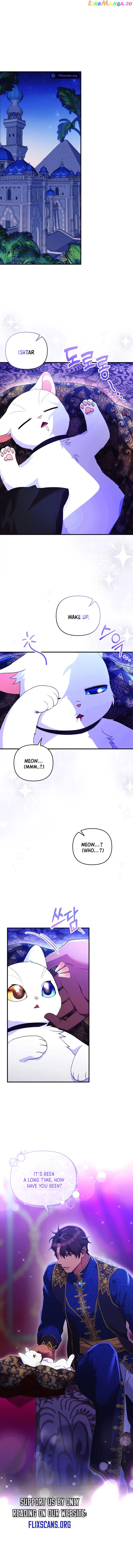 I Became the Sultan's Precious Cat Chapter 26 - page 2