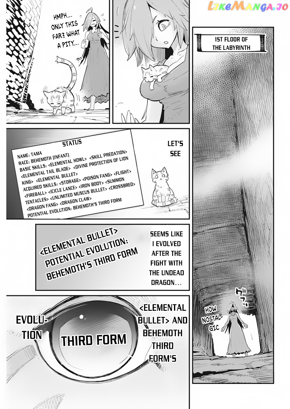 I Am Behemoth Of The S Rank Monster But I Am Mistaken As A Cat And I Live As A Pet Of Elf Girl chapter 39 - page 8