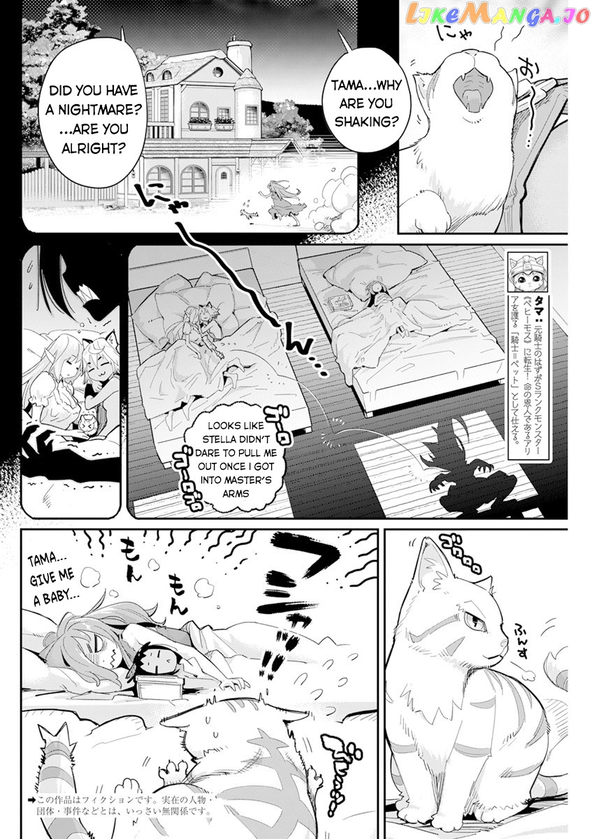 I Am Behemoth Of The S Rank Monster But I Am Mistaken As A Cat And I Live As A Pet Of Elf Girl chapter 40 - page 3