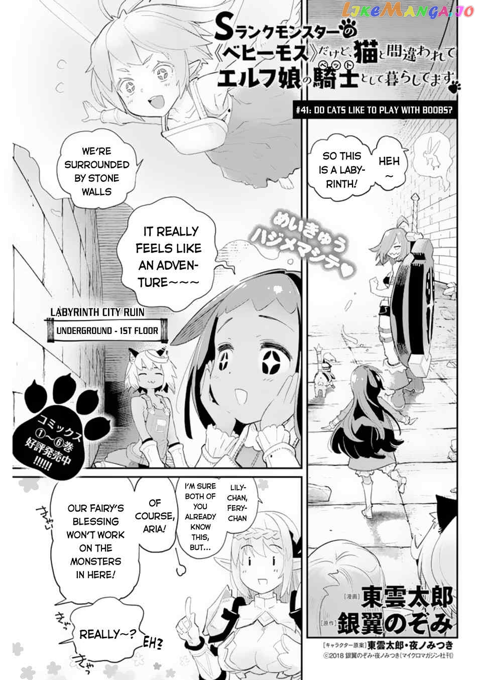 I Am Behemoth Of The S Rank Monster But I Am Mistaken As A Cat And I Live As A Pet Of Elf Girl chapter 41 - page 2