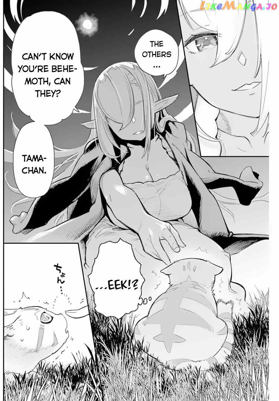 I Am Behemoth Of The S Rank Monster But I Am Mistaken As A Cat And I Live As A Pet Of Elf Girl chapter 47 - page 18