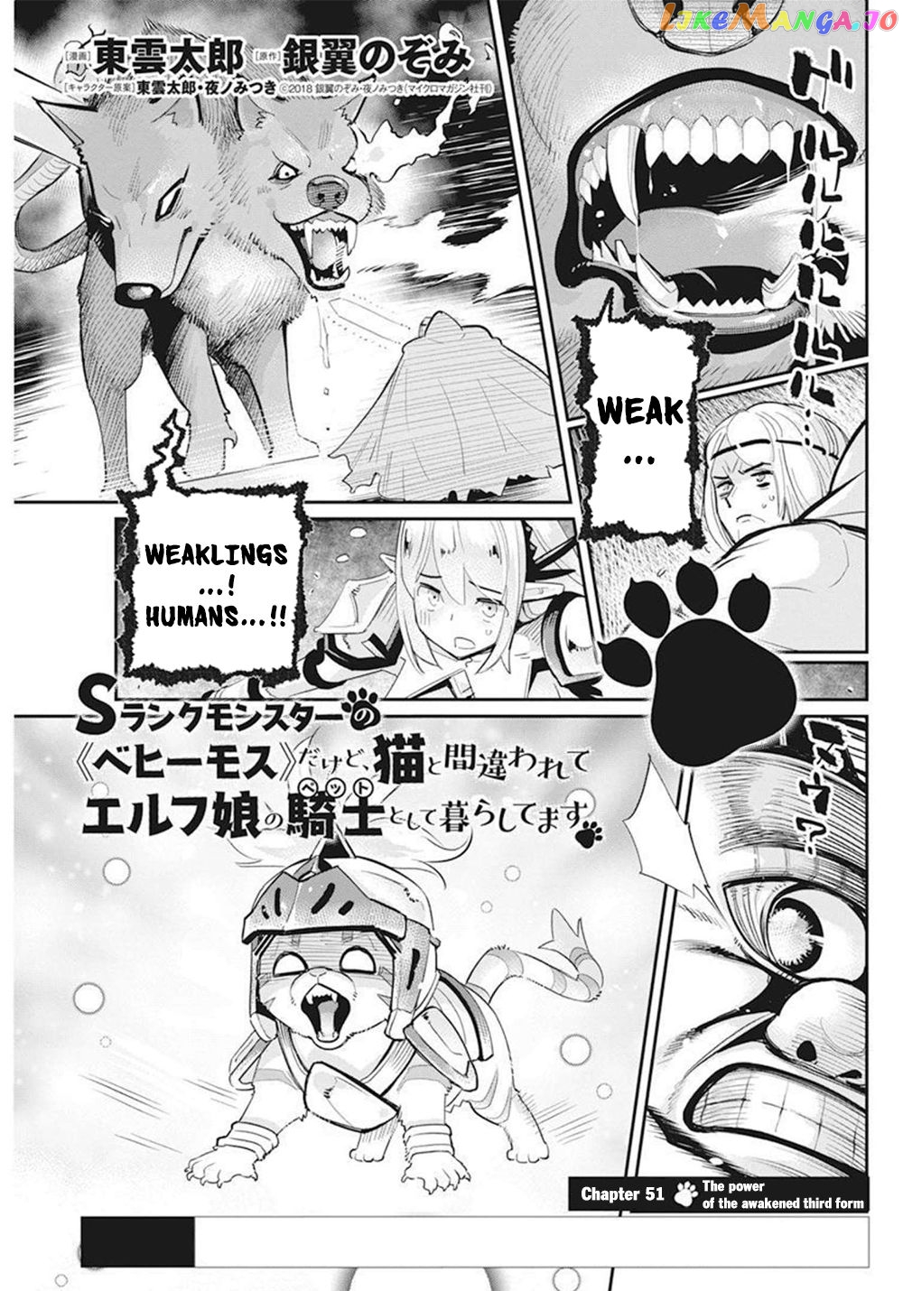 I Am Behemoth Of The S Rank Monster But I Am Mistaken As A Cat And I Live As A Pet Of Elf Girl chapter 51 - page 2